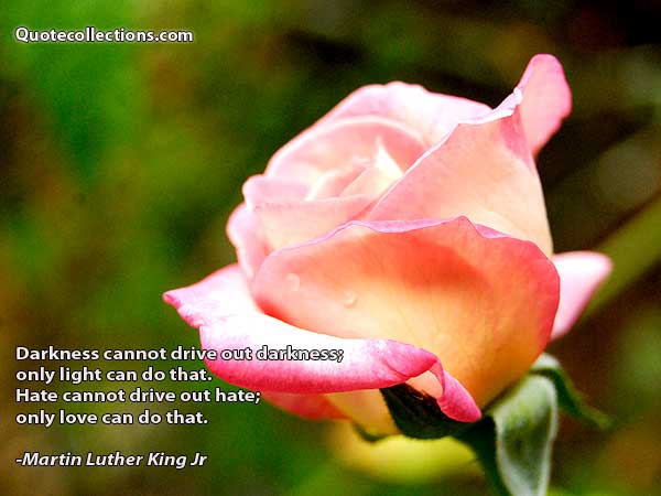 Martin Luther King, Jr. quotes6